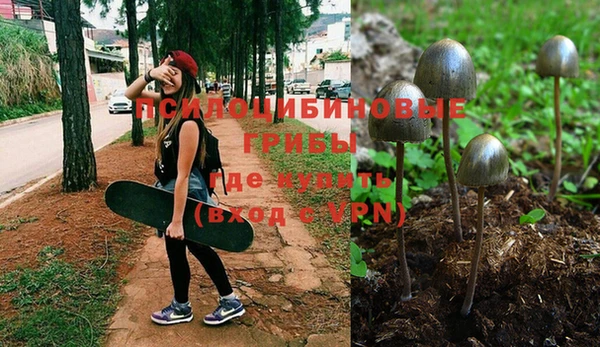 хмурый Белоозёрский