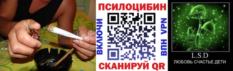 OMG как войти  Нижний Новгород  Псилоцибиновые грибы MAGIC MUSHROOMS 